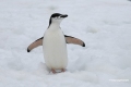 DSC9860-Kopie
