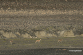 DSC9192-Kopie