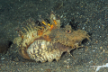 Lembeh-Bunaken-Siladen-09