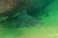 Malawi-23