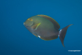 20150225-_DSC7111