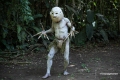 DSC_7710_Web-2
