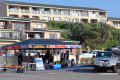Protea_Aliwal-Shoal-25