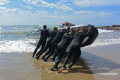 Protea_Aliwal-Shoal-26