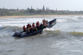 Protea_Aliwal-Shoal-27