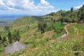 Uganda-02