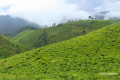 Uganda-03