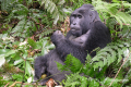 Uganda-10