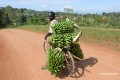 Uganda-22