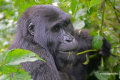 Uganda-24